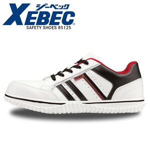 SC W[xbN 85125 jp |c Z[teB[V[Y c RC ƌC Y fB[X C ^Cv 3E ƗpC OOK  X^CbV XEBEC Ew2