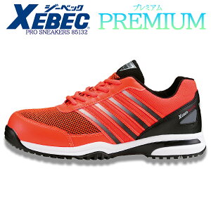 SC W[xbN vXj[J[R 85132 jp v~Af JSAAKiF RC Z[teBV[Y c c i ϖ RۖhL bV L4E ɂ ƌC 