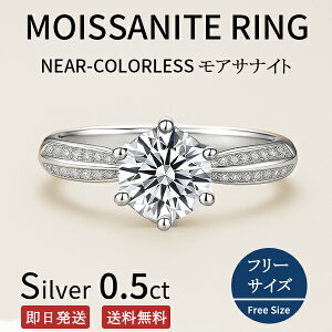 y500~OFF N[|sz ATiCg w O 0.5Jbg t[TCY (9 10 11 12 13 14 Ή)