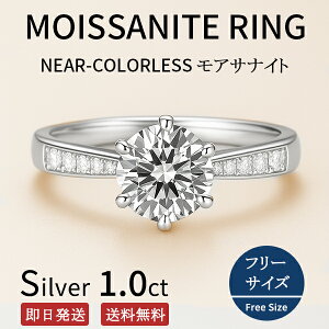 y500~OFF N[|sz ATiCg w O t[TCY (9 10 11 12 13 14 Ή)