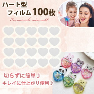 ppV[g n[g tB 100 VJVJ VR[h W