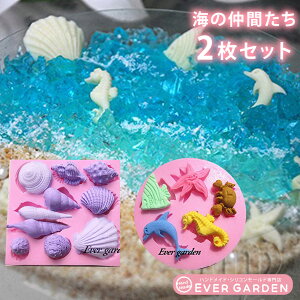 C̒Ԃ 2Zbg qgf  CJ Jj L L VF ̂Ƃ VR[h W  Ό Sy oX{ ^ ^ V 킢 [h G WN