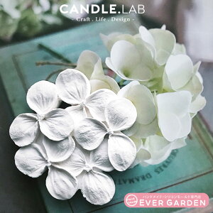  z  VR[h W A}nCXg[ ΍p  Ό W  Sy VR ^ ^ V yIXXz VRv[g ^ ISiCg ^ V