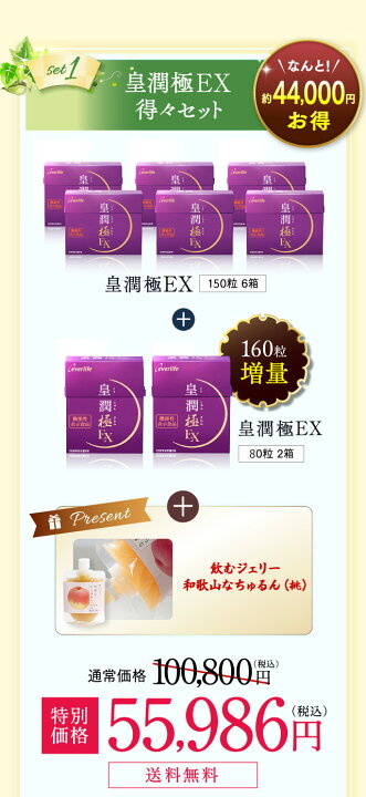 楽天市場】【合計金額に応じて最大3,000円OFFクーポン+P10倍！12日まで 