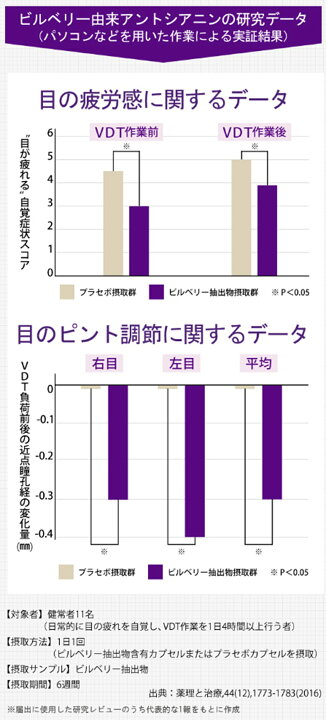 楽天市場】【合計金額に応じて最大3,000円OFFクーポン+P10倍！12日まで 