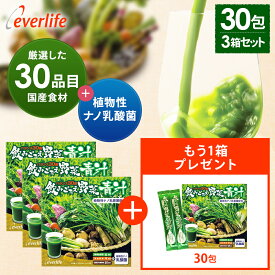 【増量キャンペーン】飲みごたえ野菜青汁（30包）×3箱＋（飲みごたえ青汁30包1箱プレゼント）乳酸菌 30品目の国産野菜・食材 熊笹 あおじる 青汁 国産 日本製 野菜青汁 食物繊維 飲みごたえ エバーライフ