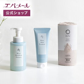 【イベント期間中ポイント5倍】おうちで簡単ヘッドスパセット ( ウォーターマイクロフォームシャンプー トリートメント カラリアース ヘアドライタオル ) | エバメール シャンプー 極泡 泡 ヘッドスパ 簡単 頭皮ケア ヘアケア お風呂 入浴 クレンジング 洗浄 40代 50代