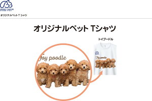 Goybg@EVERPET IWi@TVc@@z@@Ɓ@L@LƁ@ӂӁ@킢@~j`A_bNX@ViEU[@gCv[h@Č@@S[fg