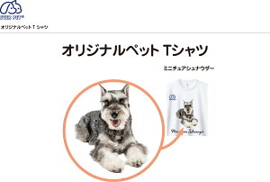 Goybg@EVERPET IWi@TVc@@z@@Ɓ@L@LƁ@ӂӁ@킢@~j`A_bNX@ViEU[@gCv[h@Č@@S[fg