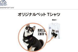 Goybg@EVERPET IWi@TVc@@z@@Ɓ@L@LƁ@ӂӁ@킢@~j`A_bNX@ViEU[@gCv[h@Č@@S[fg