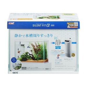 �T�C�����g�t�B�b�g�A���t�@300