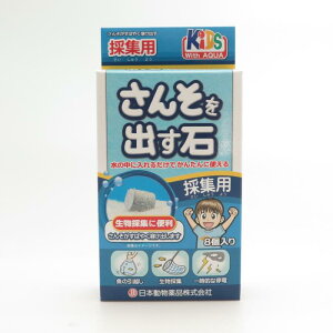 KIDfS@񂻂o΁@̏Wp