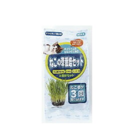 ねこの草栽培セット　3回分セット