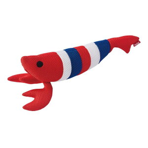 Lp@炭炭f^TOY@肮݁@݂ȃGr