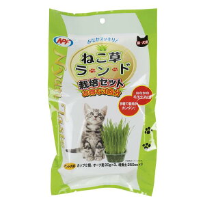 NyanTaste@˂h@͔|Zbg@3