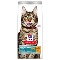 サイエンスダイエット　キャットフード　シニア　インドア　室内　猫用　7歳以上　チキン　高齢猫　お試…