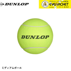 yLINEǉ5%OFFN[|zzz_bv _bvX|[c ANZT[ ~fBA{[ TAC8201 ejXE\tgejX