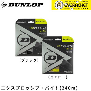 yLINEǉ5%OFFN[|zzz_bv _bvX|[c ejXXgO@Kbg GNXvbVuEoCgi[j DST12011 dejX