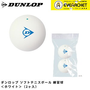 ダンロップ ソフトテニスボール 練習球 2ヶ入