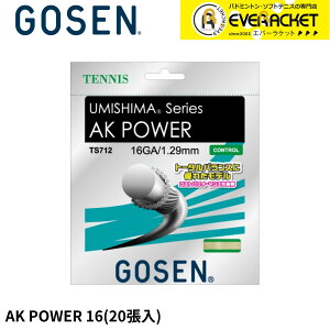 �yLINE�ǉ���5%OFF�N�[�|���z�z���z�S�[�Z�� GOSEN �e�j�X�X�g�����O�@�K�b�g AK�@POWER16 TS71220P �d���e�j�X