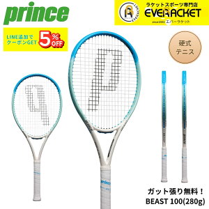 �y�K�b�g��E����㖳���z�v�����X PRINCE �e�j�X���P�b�g BEAST 100�i280g�j 7TJ236 �d���e�j�X