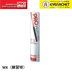 oh~gXVg FD g oh~g Vg@vtFU[WX(K Kpj PF-6300