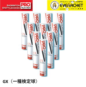 y10_[Xzoh~gXVg FD g oh~g Vg@GXi팟苅j PF-6700