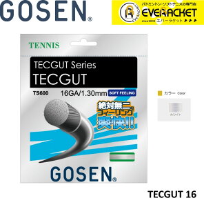yLINEǉ5%OFFN[|zzzS[Z GOSEN TECGUT@16 TS600 dejX