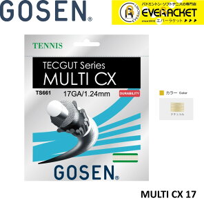 �yLINE�ǉ���5%OFF�N�[�|���z�z���z�S�[�Z�� GOSEN ���̑� MULTI�@CX�@17 TS661 �d���e�j�X