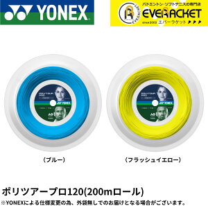yLINEǉ5%OFFN[|zzzyŒZoׁzlbNX YONEX dejXXgO |cA[v120i200mj PTP120R2 dejX@Kbg@Ki