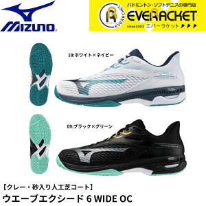 yLINEǉ5%OFFN[|zzzyŒZoׁzyIjEN[pz~Ym MIZUNO ejXV[Y EG[uGNV[h6Ch 61GB2513 \tgejX