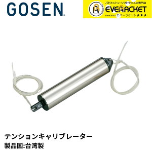 yLINEǉ5%OFFN[|zzzS[Z GOSEN ANZT[ eVLu[^[ GA56 oh~gEejXE\tgejX