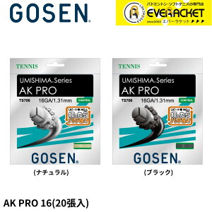 yLINEǉ5%OFFN[|zzzS[Z GOSEN ejXXgO@Kbg AK PRO16 TS70620P dejX