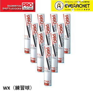 y10_[Xzoh~gXVg FD g oh~g Vg@WX(K Kpj PF-6300