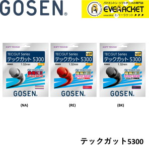 yLINEǉ5%OFFN[|zzzS[Z GOSEN \tgejXXgO Kbg TECGUT 5300 SS603 \tgejXyŒZoׁz