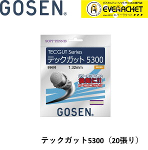 yLINEǉ5%OFFN[|zzzS[Z GOSEN \tgejXXgO Kbg TECGUT 5300 SS603NA20P \tgejX