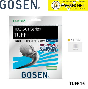 yLINEǉ5%OFFN[|zzzS[Z GOSEN TUFF@16 TS620 dejX