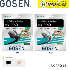 yLINEǉ5%OFFN[|zzzS[Z GOSEN ̑ AK@PRO@16 TS706 dejX