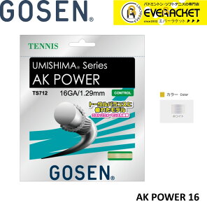 �yLINE�ǉ���5%OFF�N�[�|���z�z���z�S�[�Z�� GOSEN ���̑� AK�@POWER�@16 TS712 �d���e�j�X