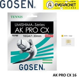 ゴーセン GOSEN 硬式テニスストリング AK PRO CX 16 TS760