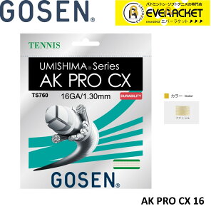 yLINEǉ5%OFFN[|zzzS[Z GOSEN dejXXgO Kbg AK PRO CX 16 TS760