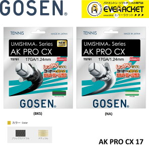 �yLINE�ǉ���5%OFF�N�[�|���z�z���z�S�[�Z�� GOSEN �d���e�j�X�X�g�����O �K�b�g AK PRO CX 17 TS761