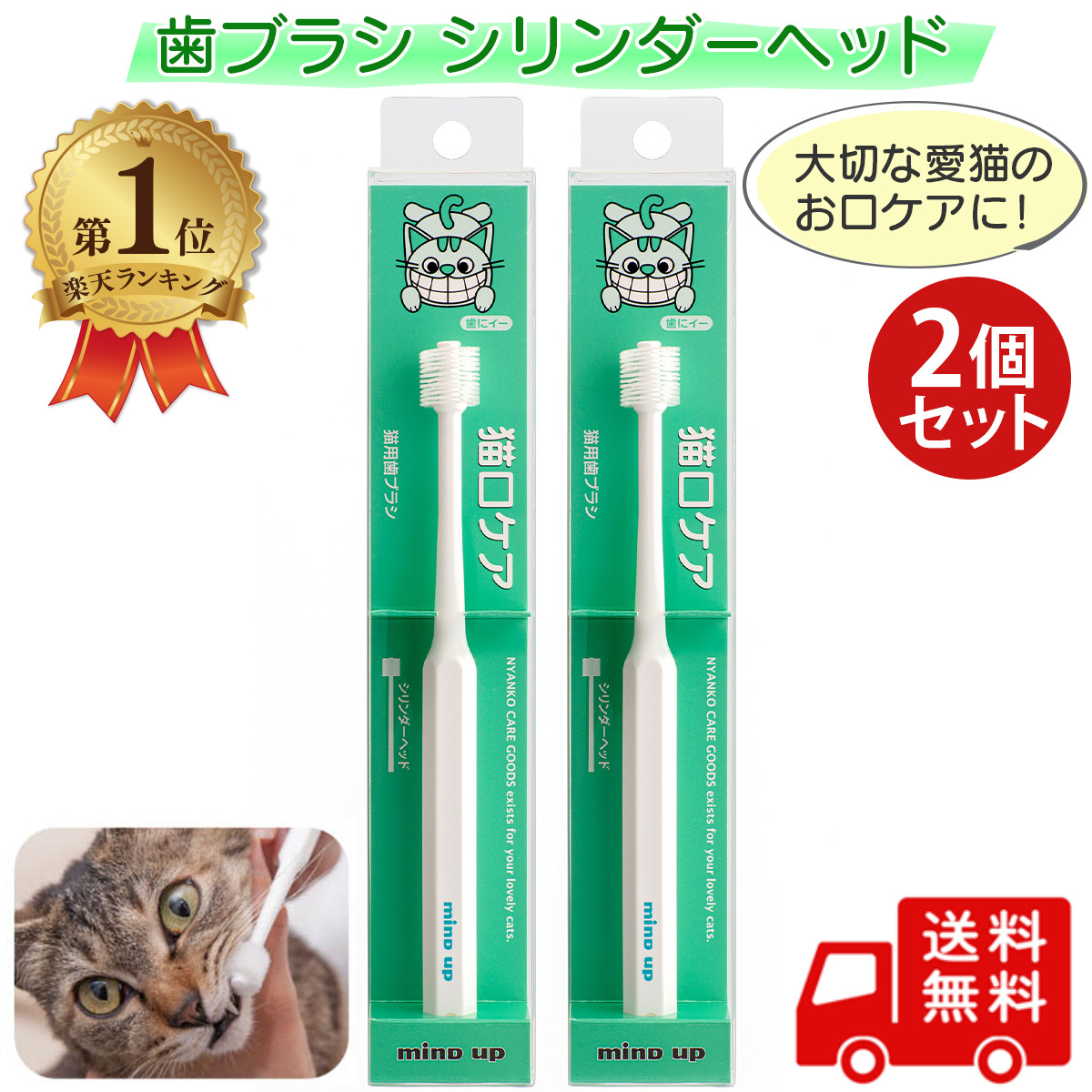 誕生日プレゼント猫口ケア 歯ブラシ シリンダーヘッド 2個セット 歯みがき ネコ 猫 デンタルケア 歯磨き 日本製 マインドアップ 送料無料