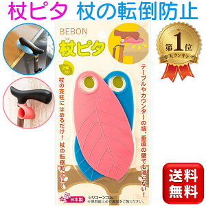 BEBON s^ 2 ̓]|h~  Œ ~ z_[ { VR[S  XebL@