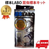 【楽天1位】 標本LABO 昆虫標本キット フジコン 昆虫標本 標本セット 標本キット 昆虫 標本 送料無料