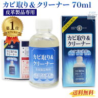 【楽天1位】 カビ取り&クリーナー 70ml カビ取りクリーナー 皮革製品専用 カビ取り剤 エスケー化研 プロ…