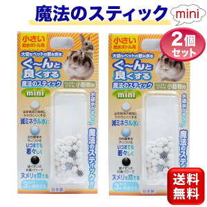 @̃XeBbN p mini 2Zbg ~j ETM nX^[ 1{ 15L 3 {gp { B-blast 