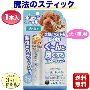 @̃XeBbN Lp 1{ 50L 3 { B-blast p Lp f B-blast 