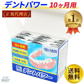 ＼楽天1位／ デントパワー 入れ歯洗浄剤 10ヵ月用 送料無料