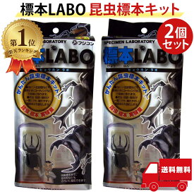 標本LABO 昆虫標本キット 2個セット フジコン 昆虫標本 標本セット 標本キット 昆虫 標本 送料無料